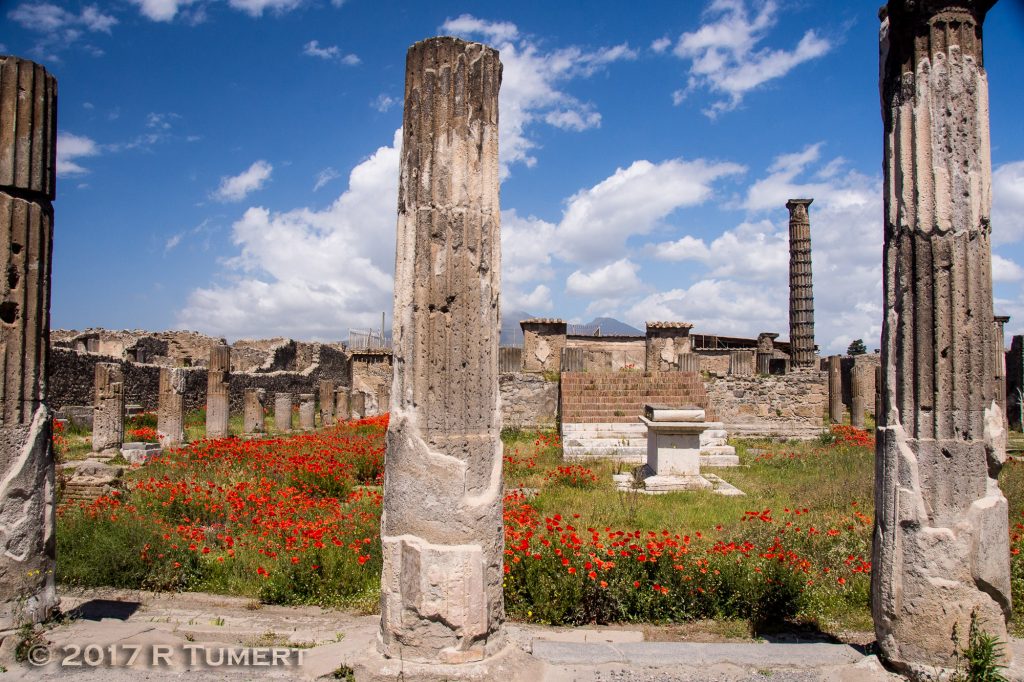 Ruiner og valmuer i Pompei