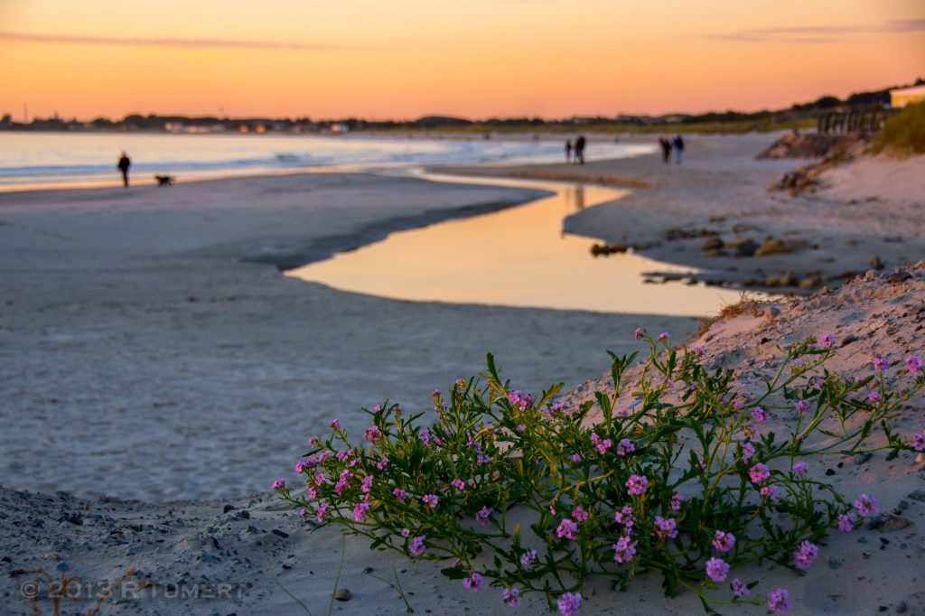 Solastranden ved solnedgang